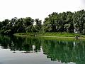 adda (65)